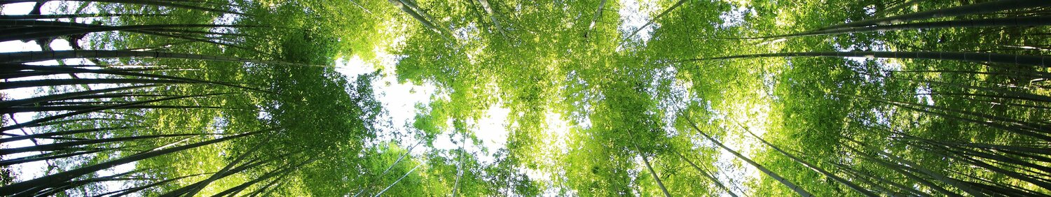 Headerbild Klima- und Umweltschutz