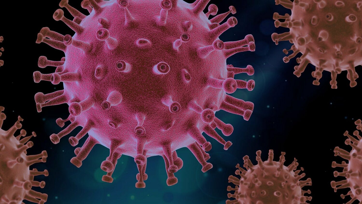 virus-4937553_1920.jpg virus-4937553_1920.jpg